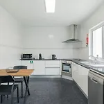 Modern 3Br Home, Ac In All Rooms, Walk To 2 Beaches, Private Patio, Washer & Dryer Ribeira Grande